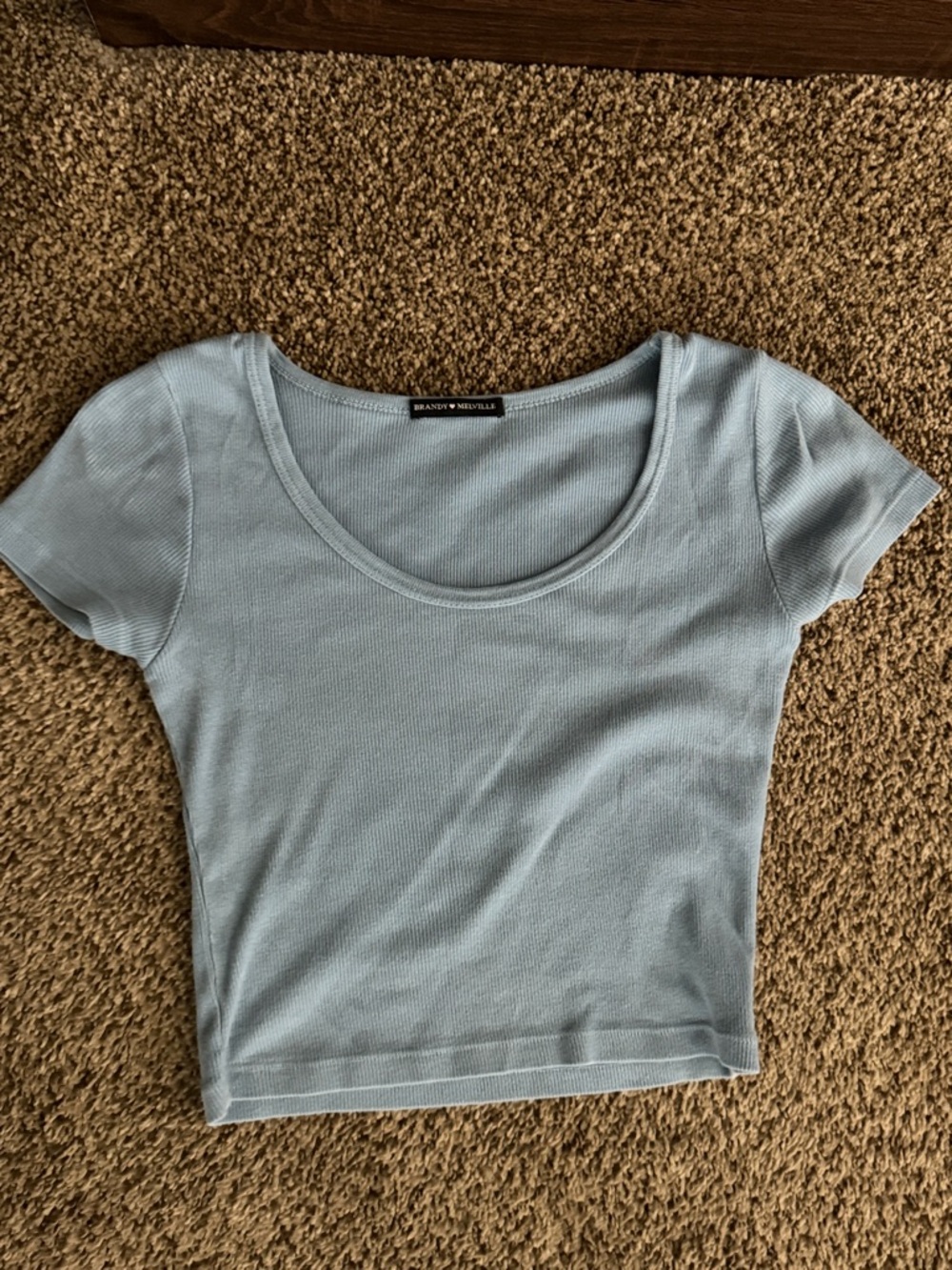 Brandy Melville Blue Scoop Ribbed Short Sleeve Tee